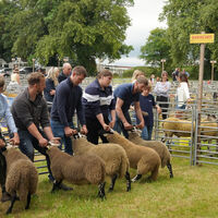 Tup Time