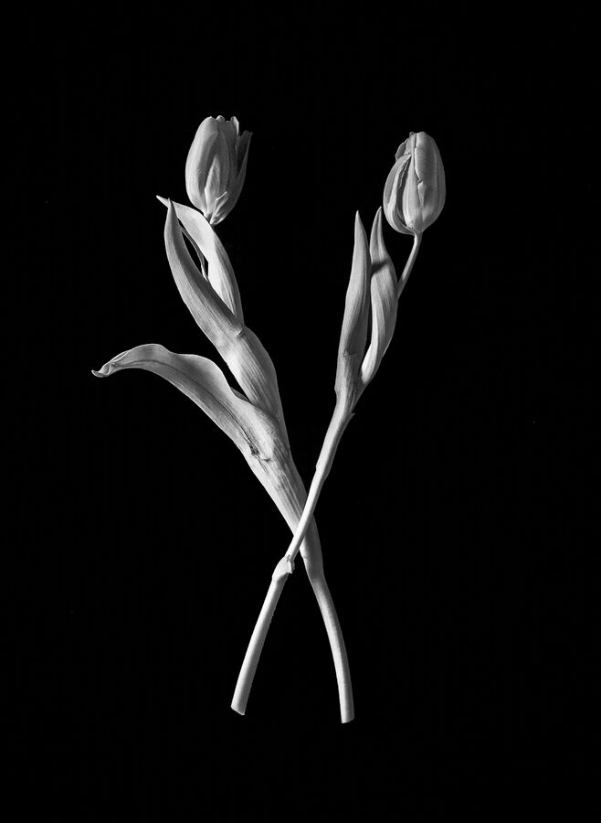 White on Black