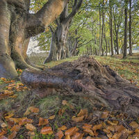 DSC9280-Edit