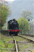 GWR 0-6-2T Tank Engine -5643