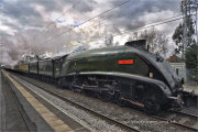 LNER A4 Class 4-6-2 No. 60019 Bittern