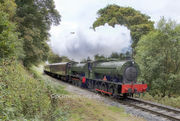ELR Autumn Steam Gala October 2015 75008 & WD132