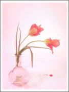 Floral Art