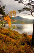 Scotland