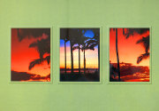Triptych Image of Hawaii