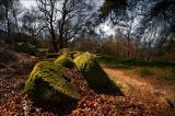 Mill stones