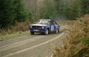 Grizedale Stages Rally