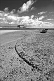 Roe Island