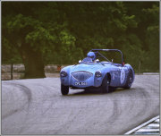 Race type Austin Healey