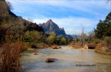 Zion National Park USA