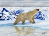 Wildlife Paintings