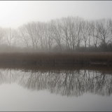Tring Reservoirs