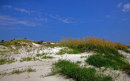 Sand dunes Tybee Island