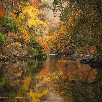 AUTUMN SELECTION