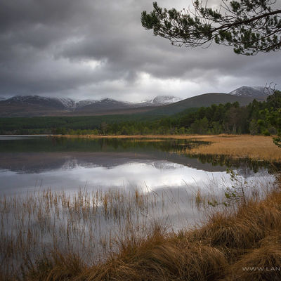 CAIRNGORMS026