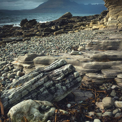 ELGOL005