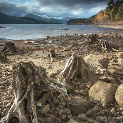 GLENAFFRIC009