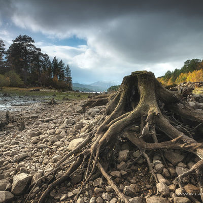 GLENAFFRIC013