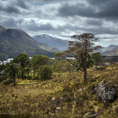 GLENAFFRIC017