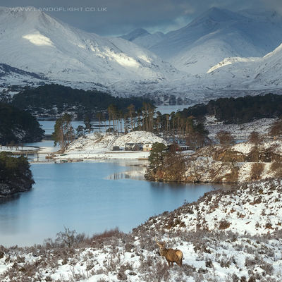 GLENAFFRIC023