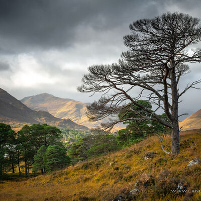 GLENAFFRIC055