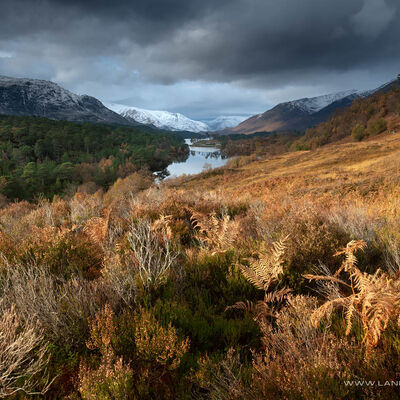 GLENAFFRIC056