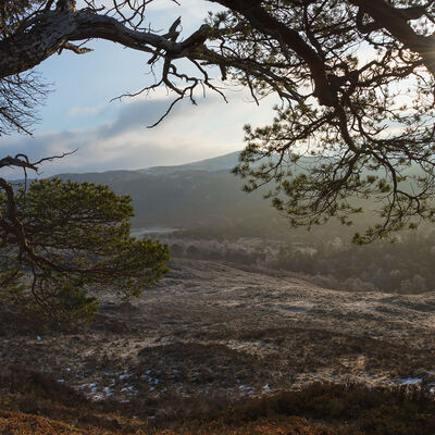 GLENAFFRIC073