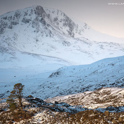 GLENAFFRIC074