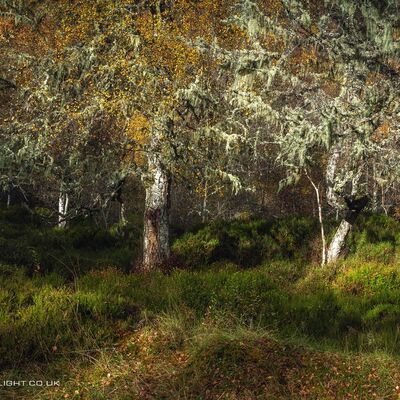 GLENAFFRIC075