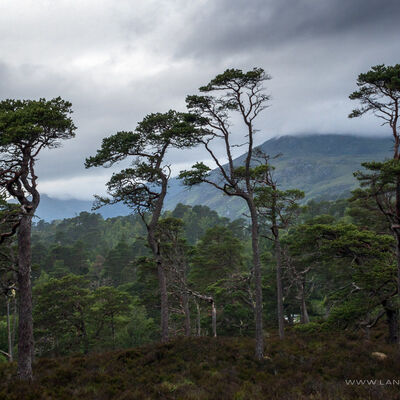 GLENAFFRIC086