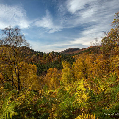 GLENAFFRIC087