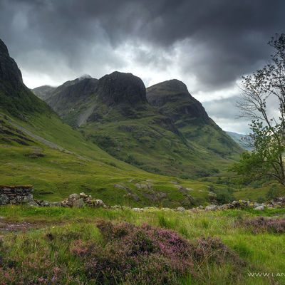 GLENCOE008