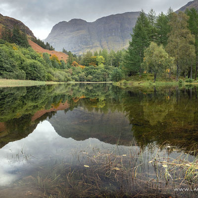 GLENCOE021