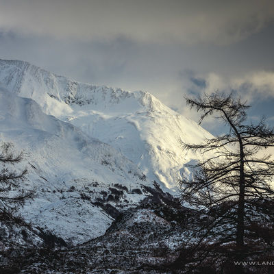 GLENCOE099
