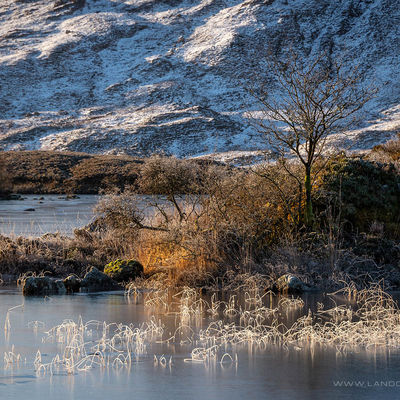 GLENCOE119