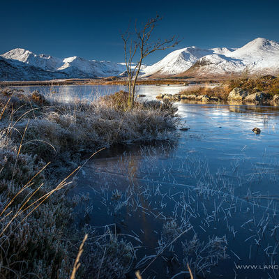 GLENCOE132