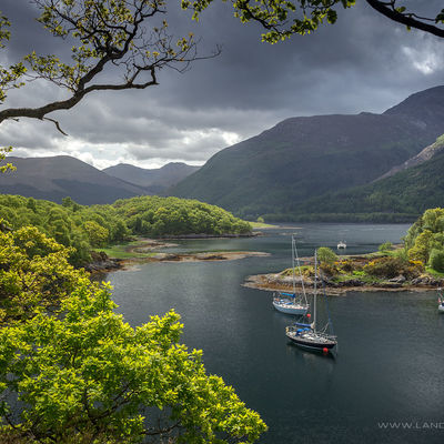 GLENCOE135