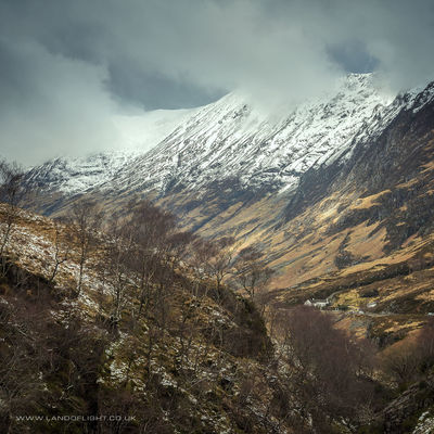 GLENCOE224