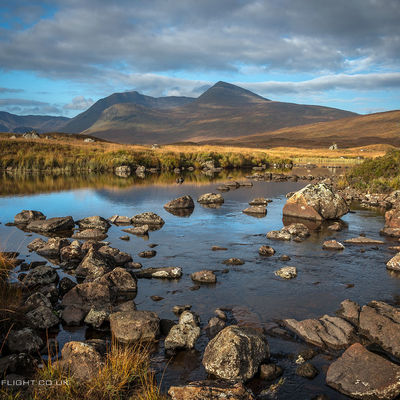 GLENCOE241
