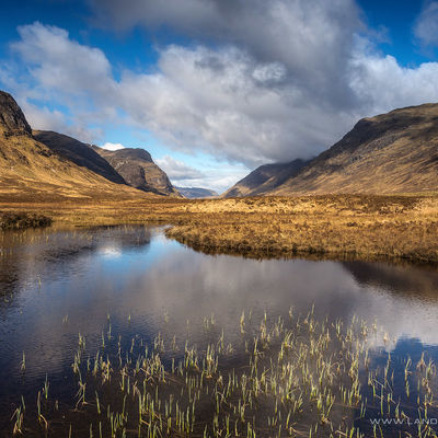 GLENCOE243