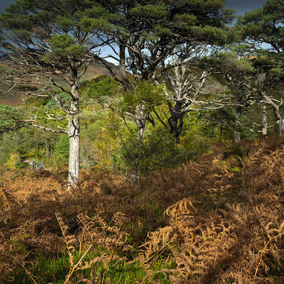 GLENFINNAN025