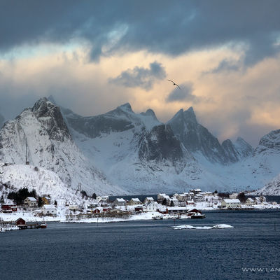 LOFOTEN065