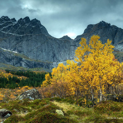 LOFOTEN141
