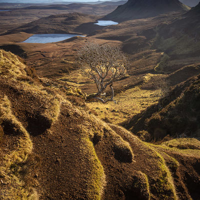 QUIRAING023