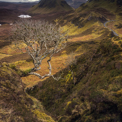 QUIRAING027