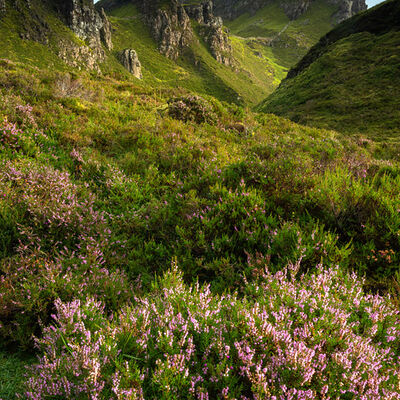 QUIRAING068