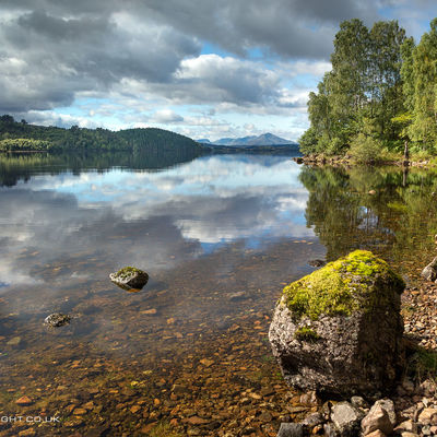 SHIEL039