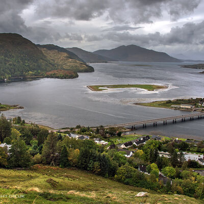 SHIEL067