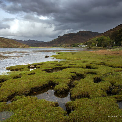 SHIEL069