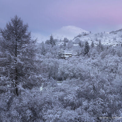 WINTER2021 004